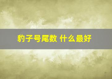 豹子号尾数 什么最好